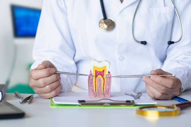 Best Weekend Emergency Dentist in North Prairie, WI